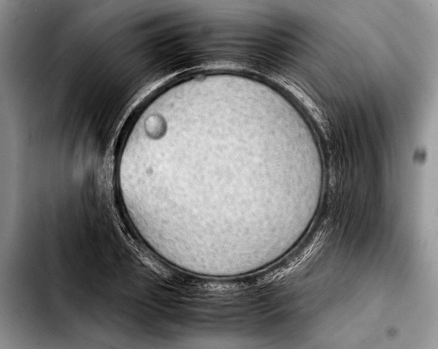 X0000103410933200810100953