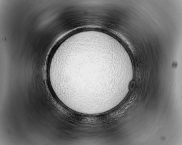 X0000103410935200810100953