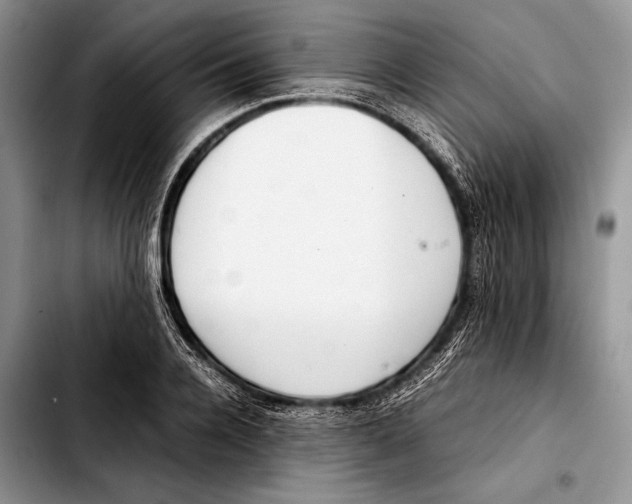 X0000103410936200810100953