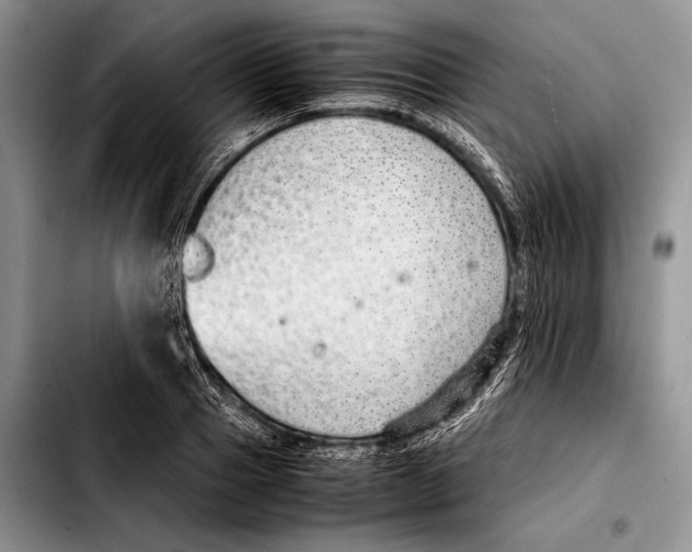 X0000103410937200810100953