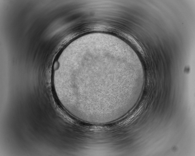 X0000103410938200810100953