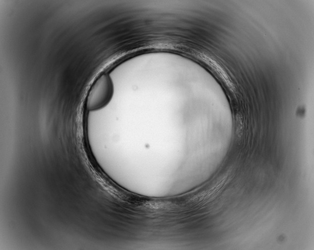 X0000103410939200810100953