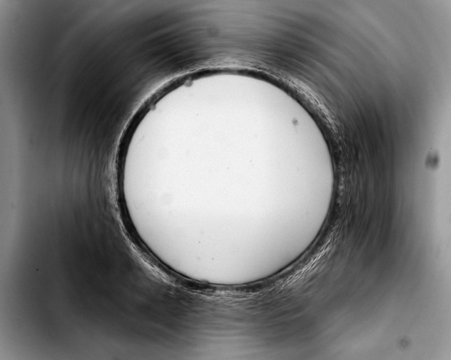 X0000103410942200810100953