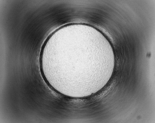 X0000103410943200810100953