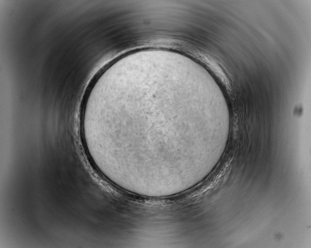 X0000103410944200810100953