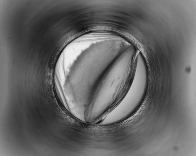 X0000103410945200810100953