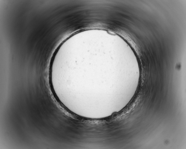 X0000103410949200810100953