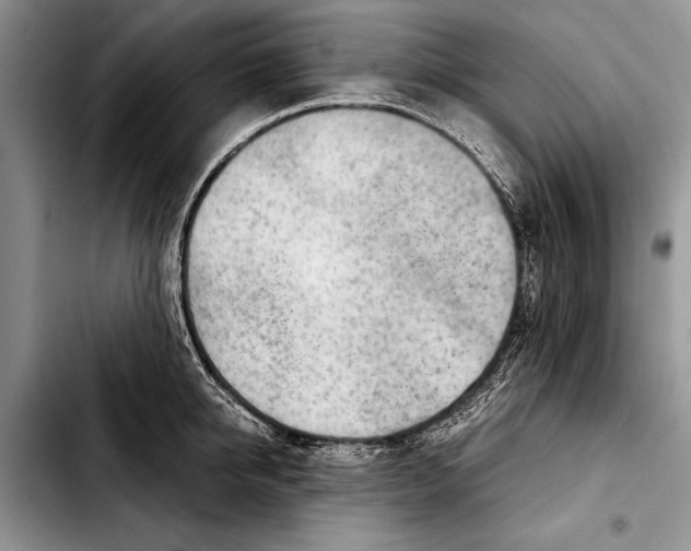 X0000103410950200810100953