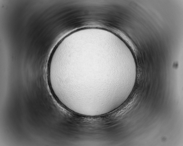 X0000103410951200810100953