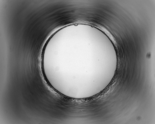 X0000103410955200810100953