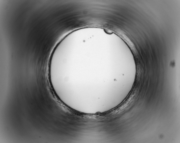 X0000103410956200810100953