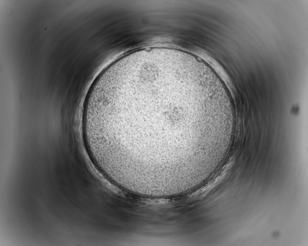 X0000103410957200810100953