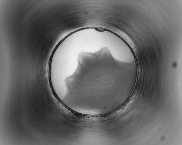 X0000103410958200810100953