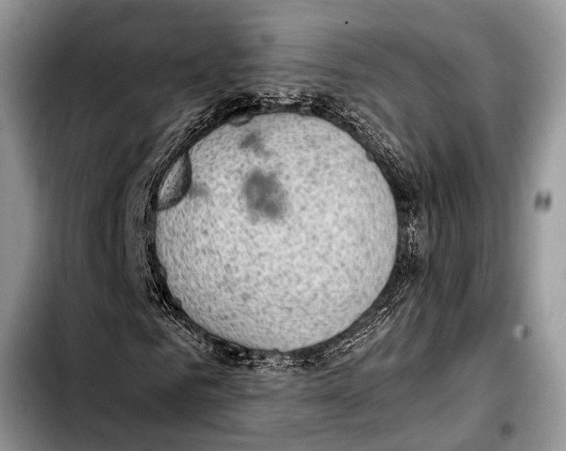 X0000103410961200810100952