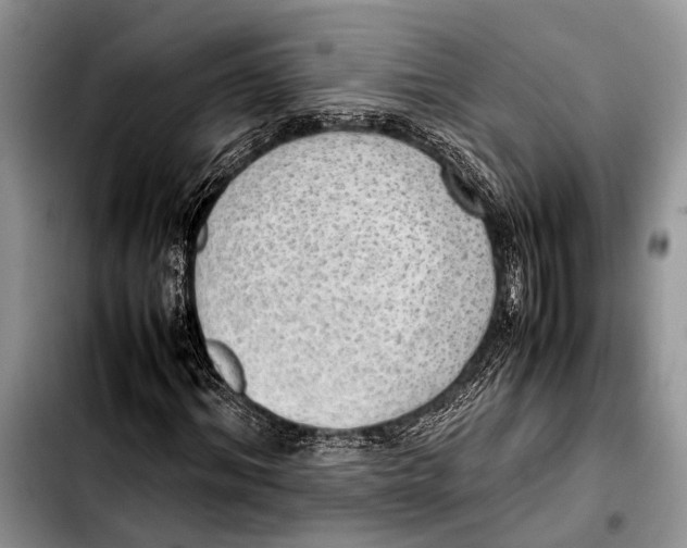 X0000103410964200810100952