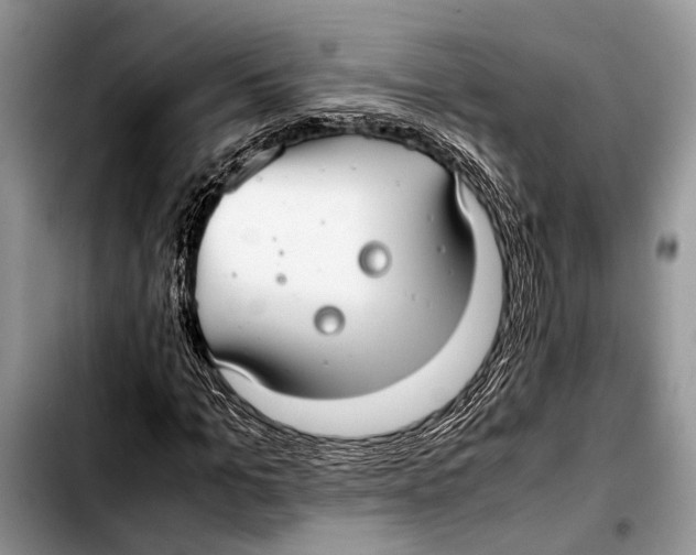 X0000103410965200810100952