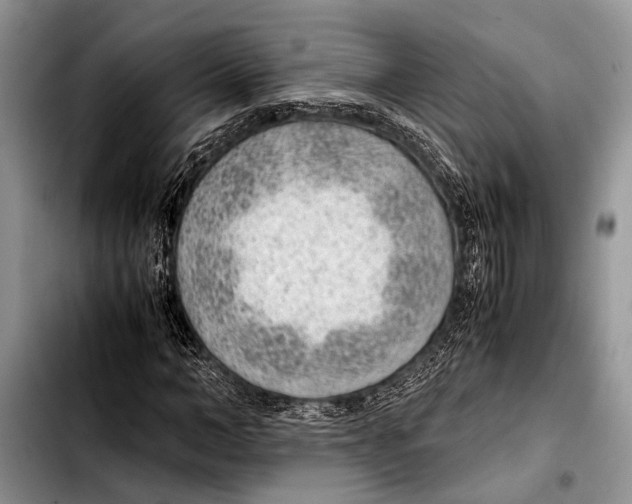 X0000103410966200810100952