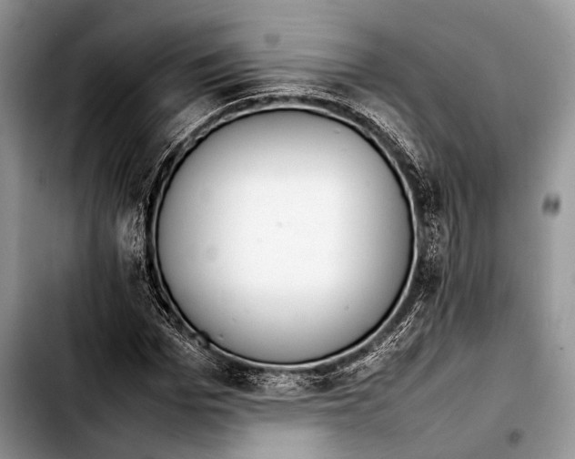 X0000103410969200810100952