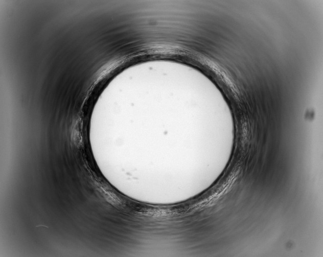 X0000103410970200810100952