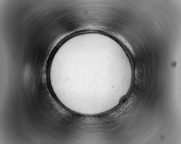 X0000103410972200810100952