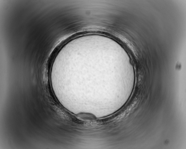 X0000103410973200810100952