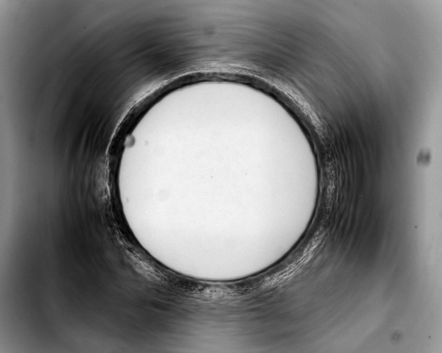 X0000103410974200810100952