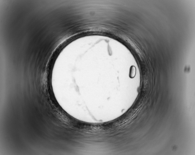 X0000103410975200810100952