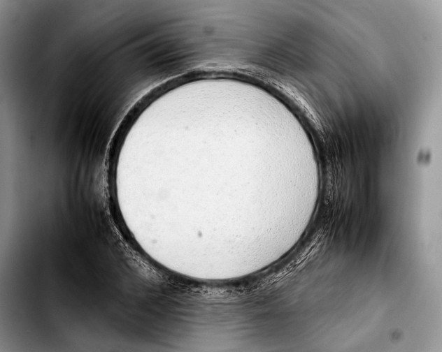 X0000103410976200810100952