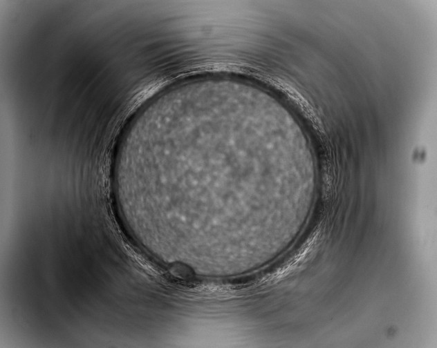 X0000103410977200810100952