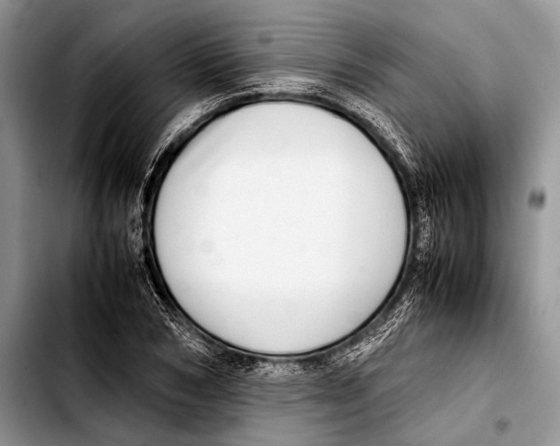 X0000103410978200810100952