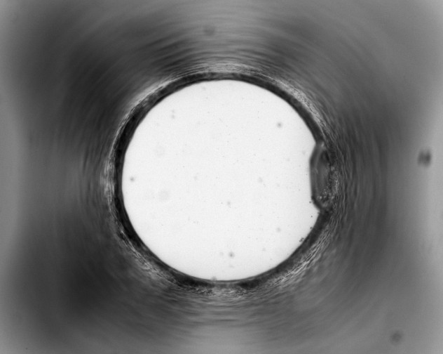 X0000103410979200810100952