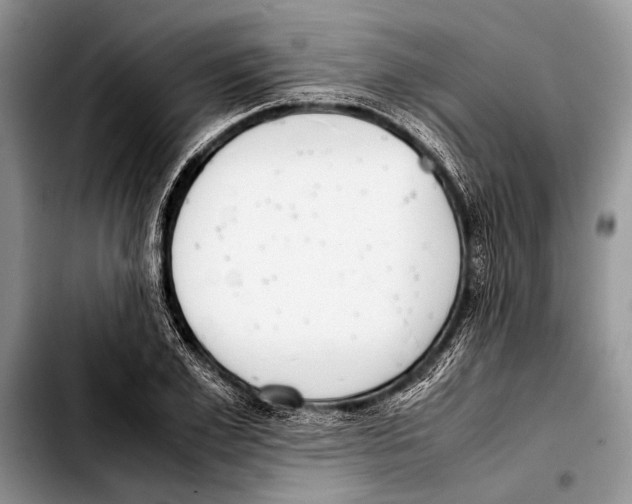 X0000103410981200810100952