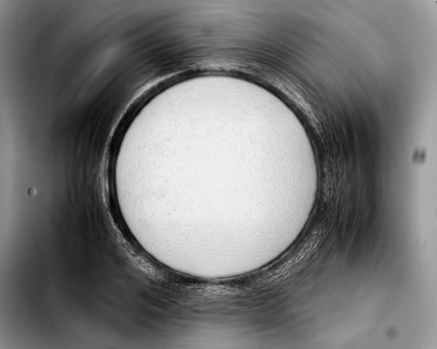 X0000103410984200810100952