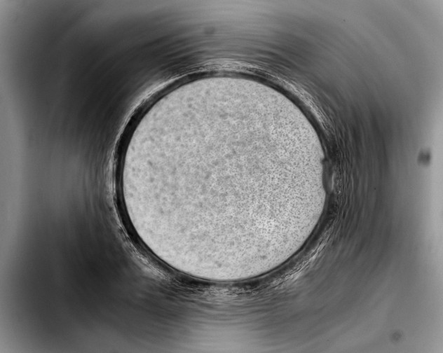 X0000103410987200810100952