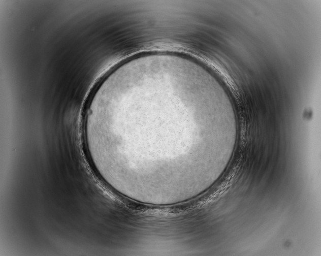 X0000103410990200810100952