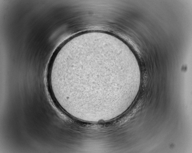 X0000103410991200810100952