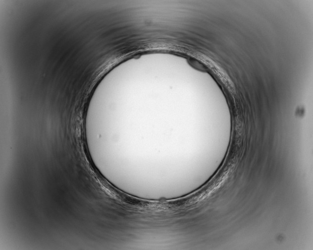 X0000103410993200810100952