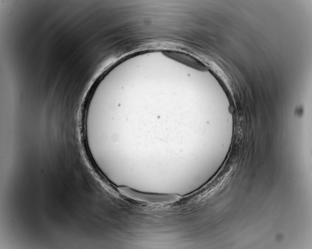 X0000103410997200810100952