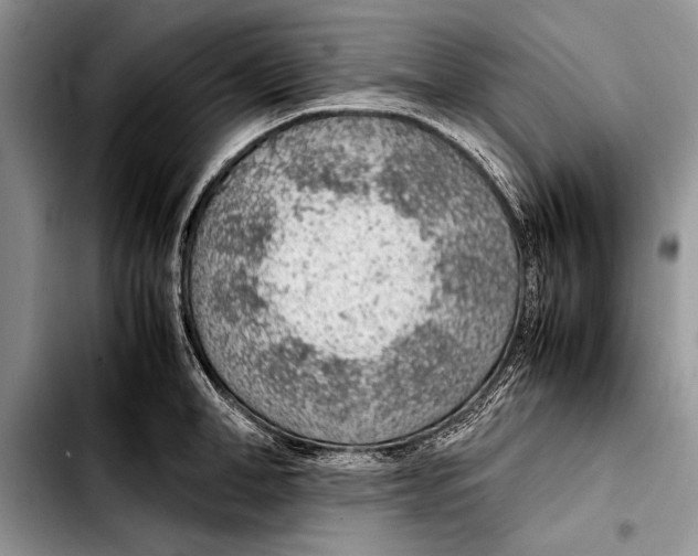 X0000103410998200810100952