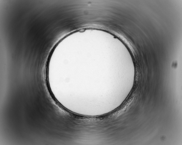 X0000103410999200810100952