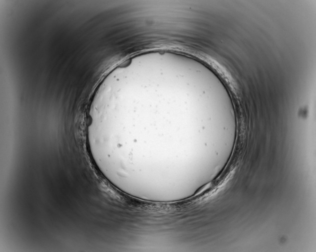 X0000103411001200810100952