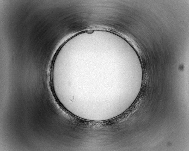 X0000103411003200810100952