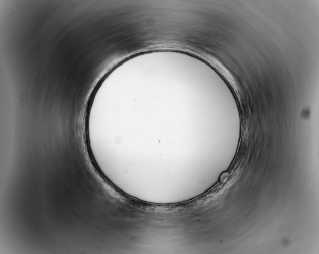 X0000103411005200810100952