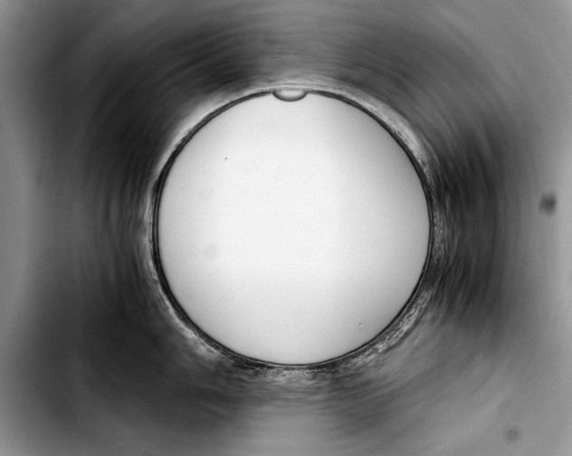 X0000103411006200810100952