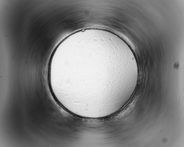 X0000103411007200810100952