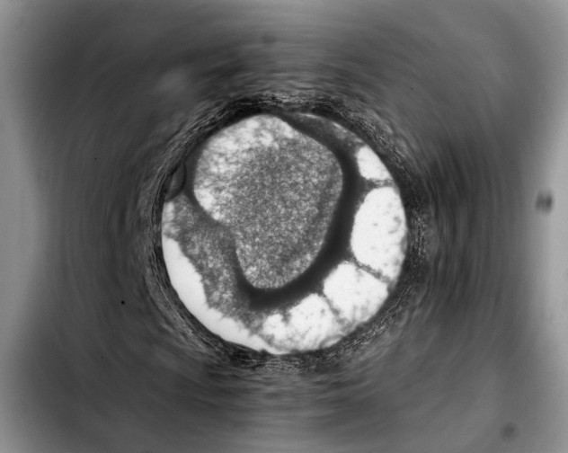 X0000103411009200810100951