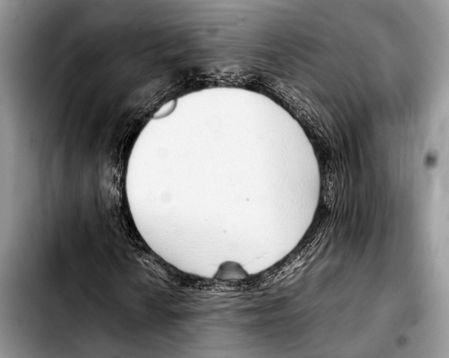 X0000103411010200810100951