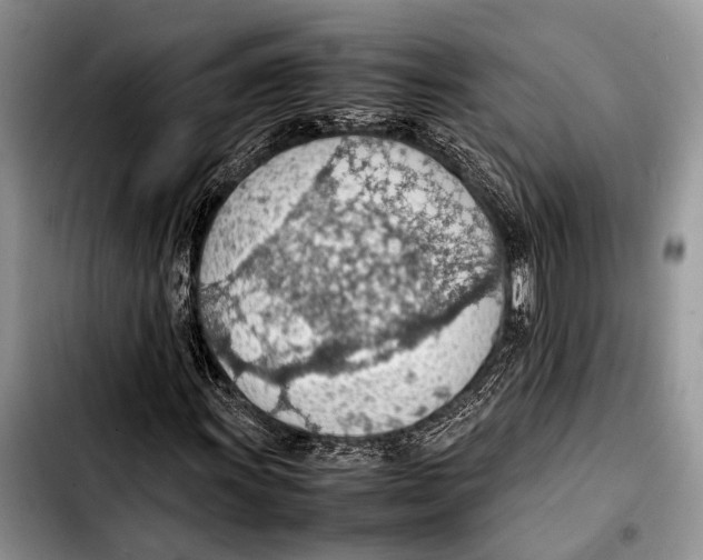 X0000103411011200810100951