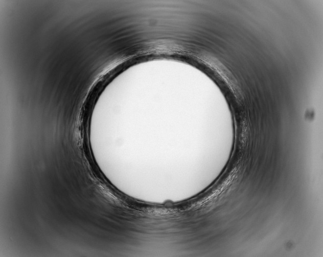 X0000103411018200810100951