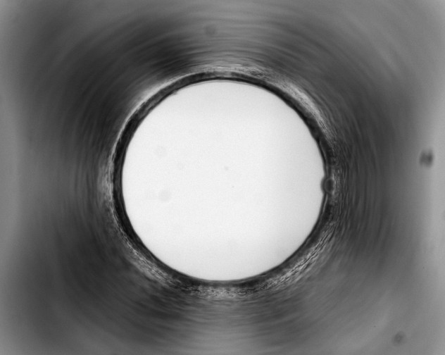 X0000103411020200810100951